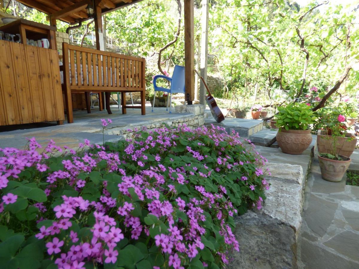 Guesthouse & Hostel Lorenc Berat Exterior photo